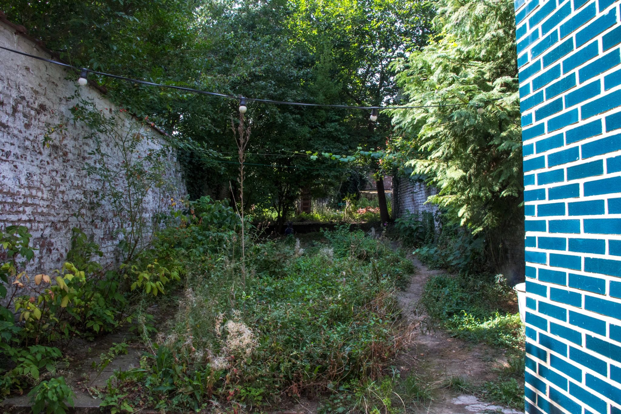 En été, un jardin urbain entourée d'un mur blanc. Au premier plan une petite prairie avec des fleures fanée. A l'arrière-plan quelque arbres.