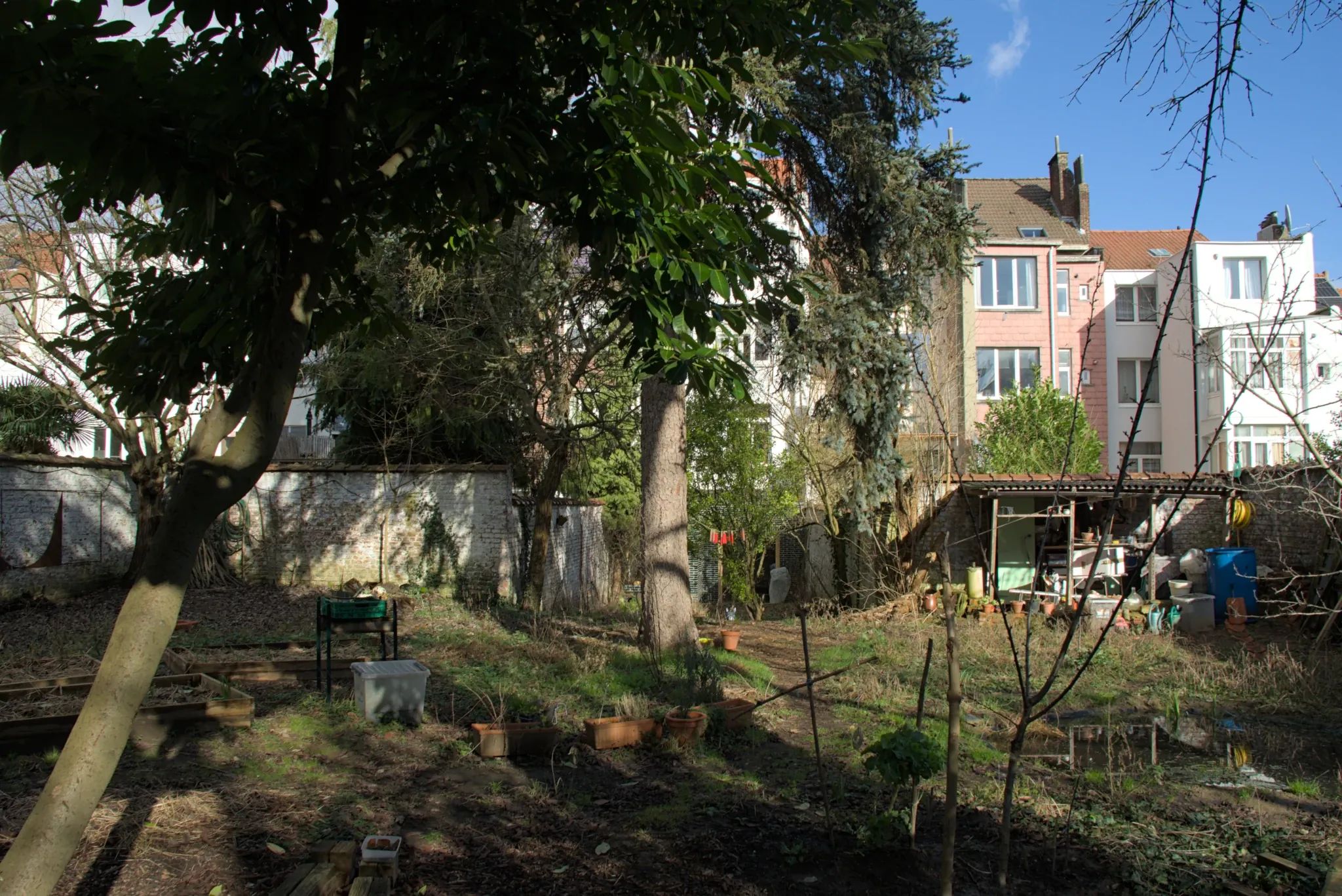 En hiver, un jardin urbain entourée d'un mur blanc. Au premier plan, il y a des planches, un jeune prunier et une mare. À l'arrière-plan, un sapin, et un petit abri de jardin. Il y a aussi quelques petites pièces de bois décoratives peintes en rouge suspendues entre deux arbres.