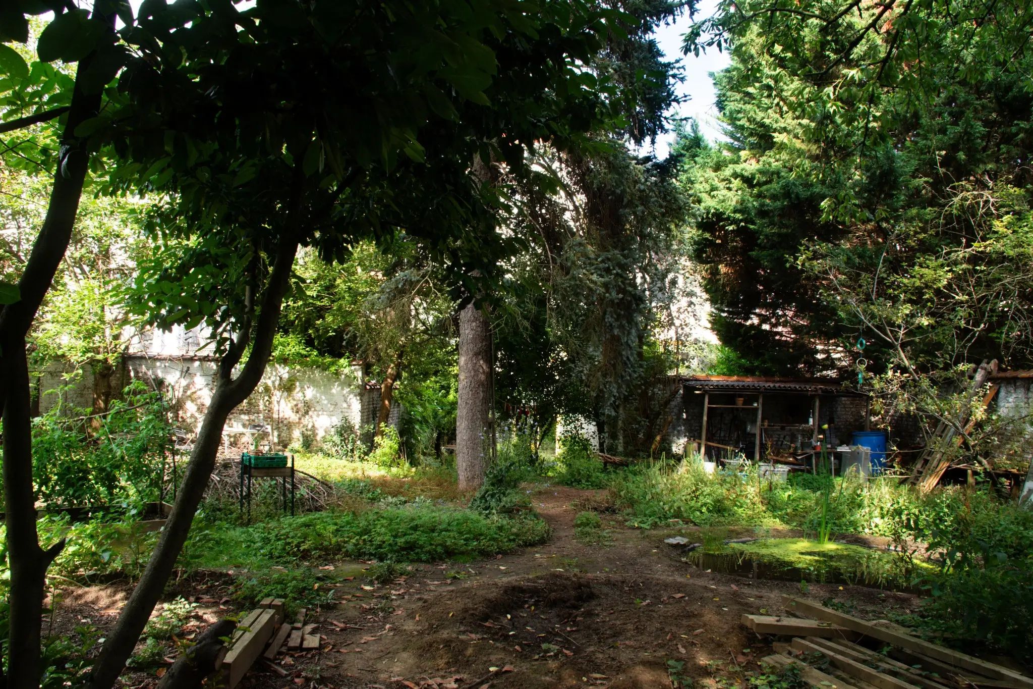 En été, un jardin urbain entourée d'un mur blanc. Au premier plan, il y a des planches, un tas de terre et un trou. À l'arrière-plan, un sapin, de la végétation sauvage et un petit abri de jardin. Il y a aussi quelques petites pièces de bois décoratives peintes en rouge suspendues entre deux arbres.