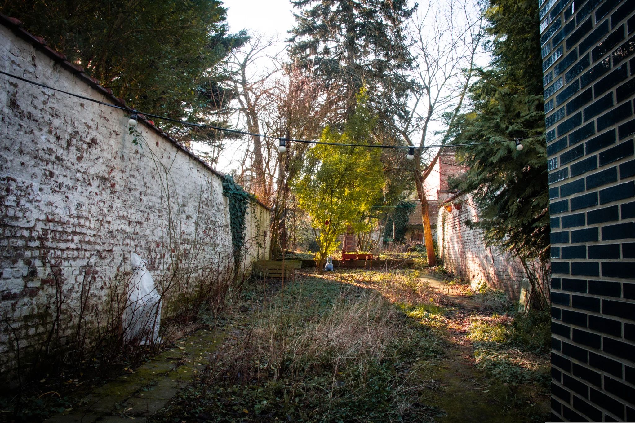En hiver, un jardin urbain entourée d'un mur blanc. Au premier plan une petite prairie avec des fleurs sécher, à l'arrière-plan quelque arbres.