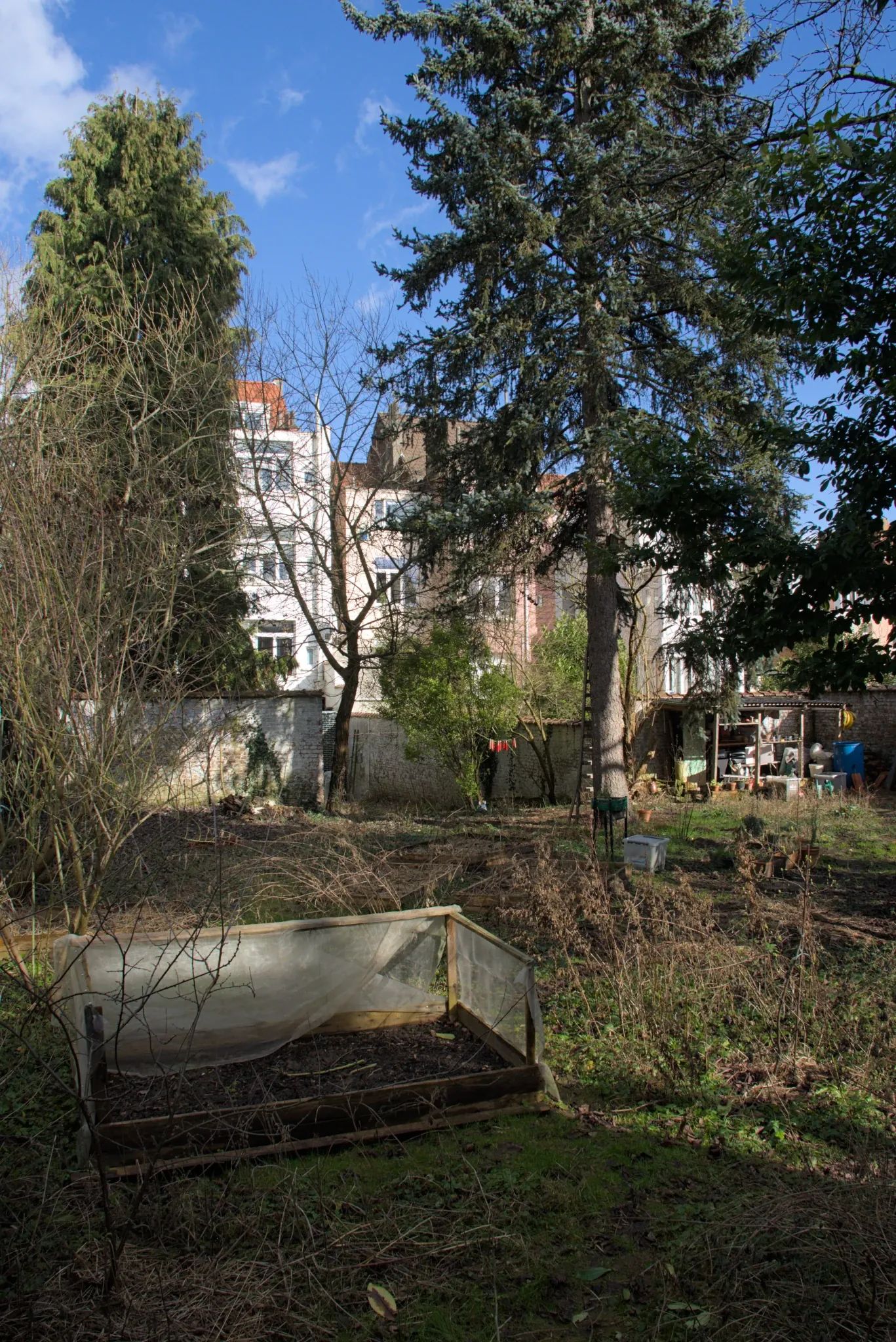 En hiver, un jardin urbain entourée d'un mur blanc. Au premier plan, des bac de plantation. A l'arrière plan un sapin et un petit abris de jardin. Il y a aussi quelques petites pièces de bois décoratives peintes en rouge suspendues entre deux arbres.