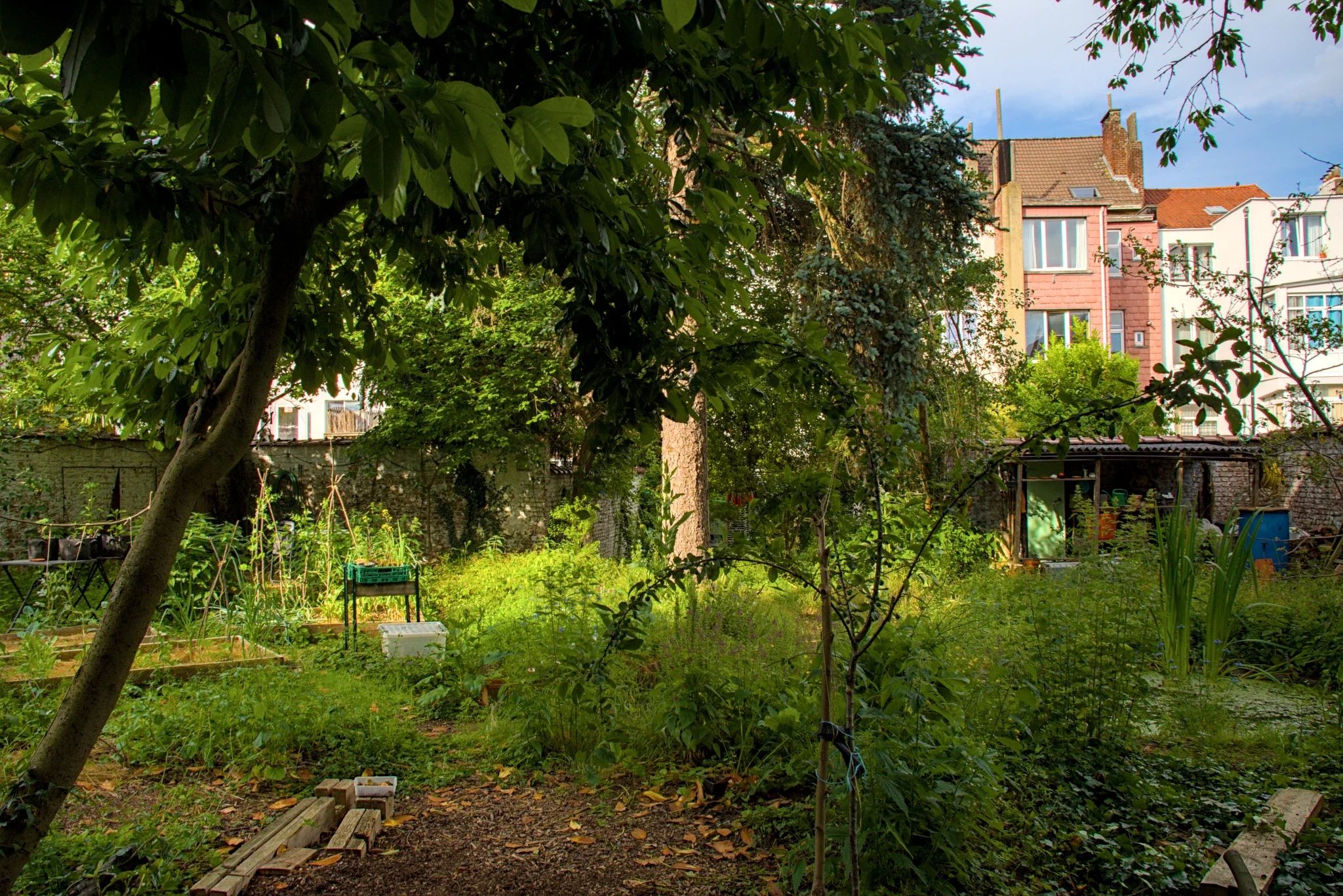 Au printemps, un jardin urbain entourée d'un mur blanc. Au premier plan, il y a des planches, un jeune prunier et une mare. A gauche, un potager. À l'arrière-plan, un sapin, et un petit abri de jardin. Il y a aussi quelques petites pièces de bois décoratives peintes en rouge suspendues entre deux arbres.