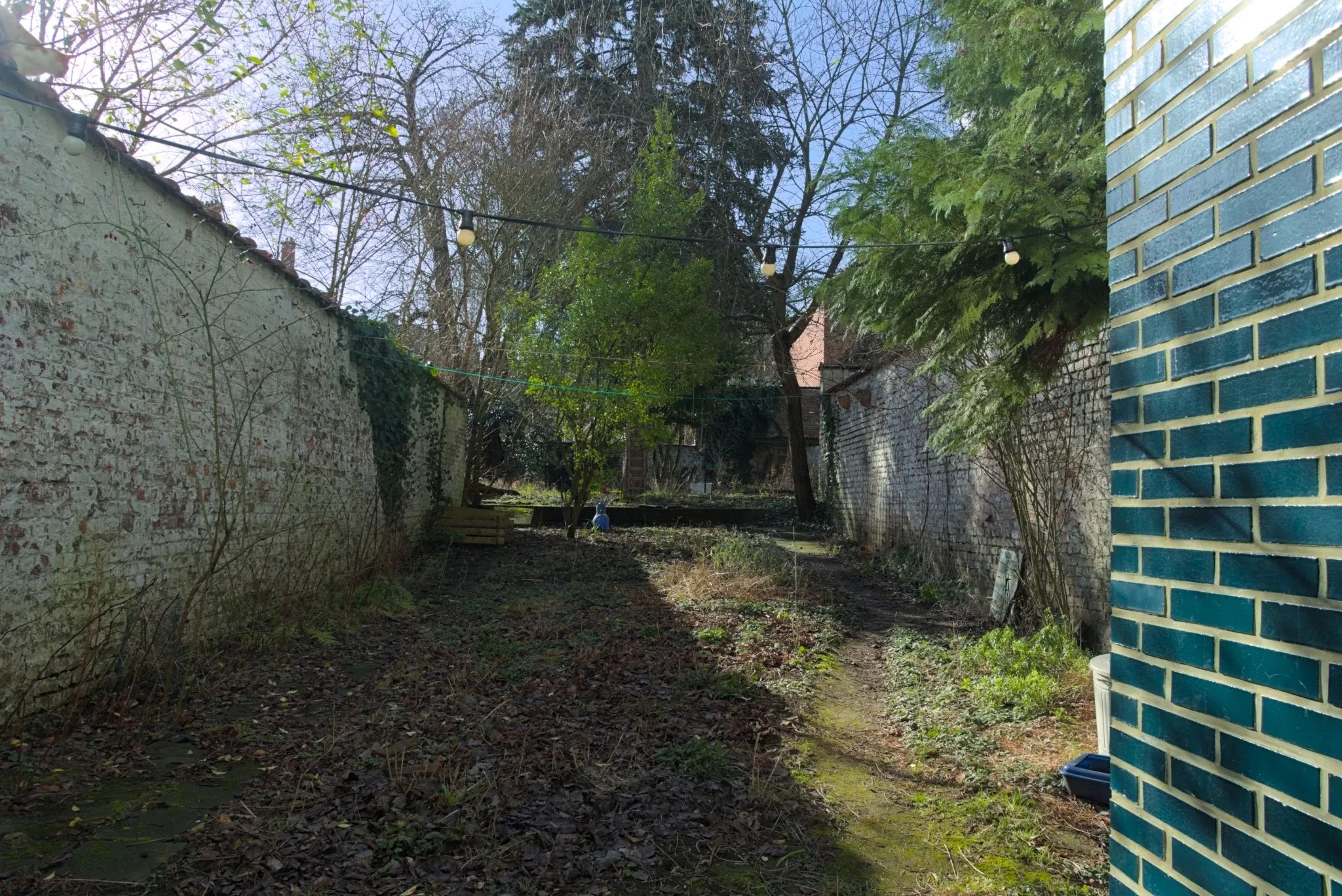 En hiver, un jardin urbain entourée d'un mur blanc. Au premier plan des feuilles mortes. A l'arrière-plan quelque arbres.