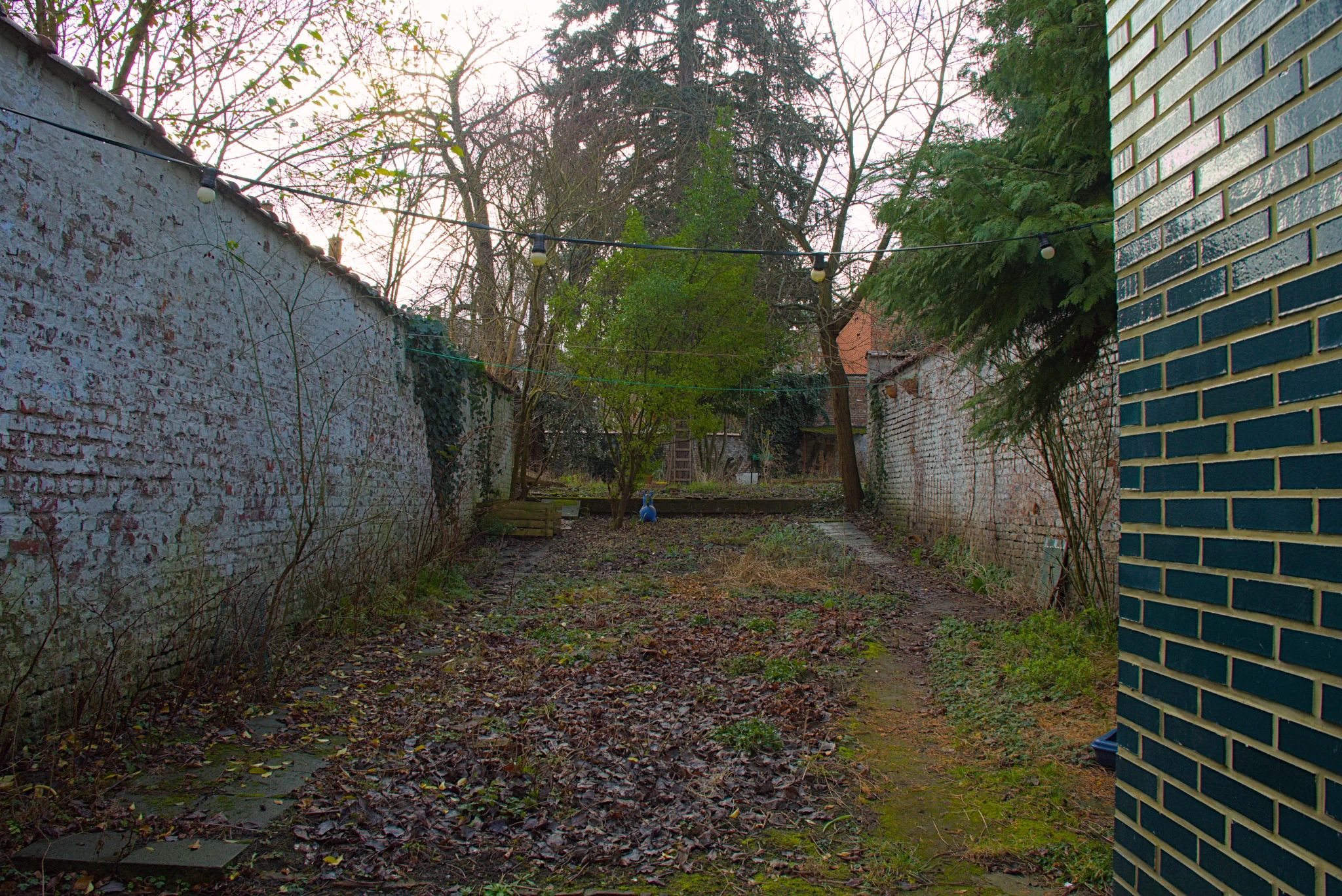 En hiver, un jardin urbain entourée d'un mur blanc. Au premier plan des feuilles mortes. A l'arrière-plan quelque arbres.