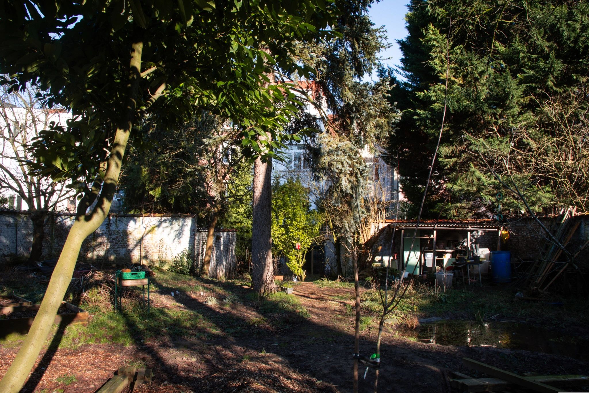 En hiver, un jardin urbain entourée d'un mur blanc. Au premier plan, il y a des planches, une mare gelé et un arbre jeune prunier. À l'arrière-plan, un sapin, de la végétation sauvage et un petit abri de jardin. Il y a aussi quelques petites pièces de bois décoratives peintes en rouge suspendues entre deux arbres.
